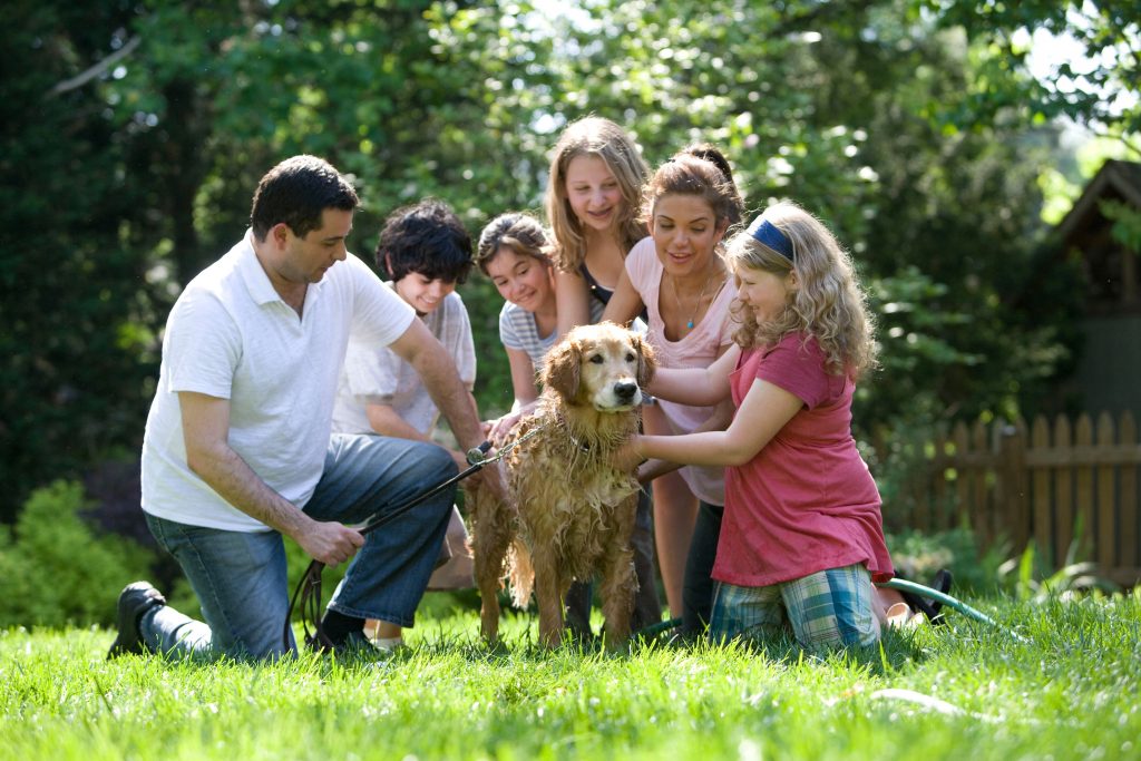 Famille recomposée : la jalousie est-elle inévitable ?